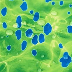 Apparel Maui Fishing Leggings - Women's