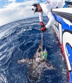 Pelagic End Game Gloves Accessories